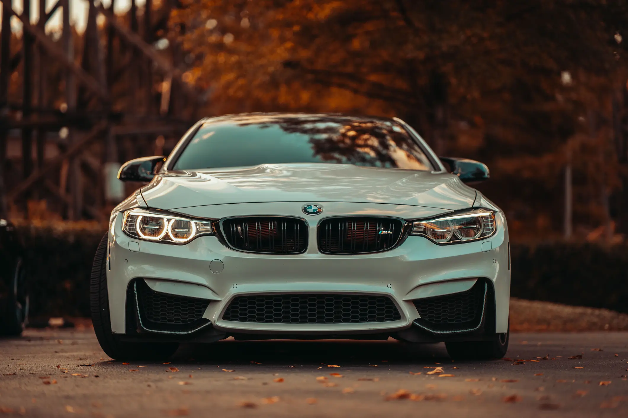 White BMW car parked in autumn setting.