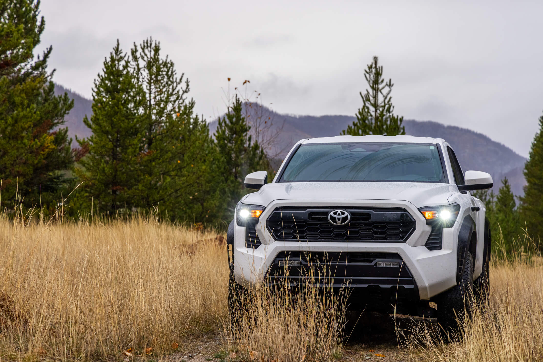 White Toyota truck in grassy mountain field