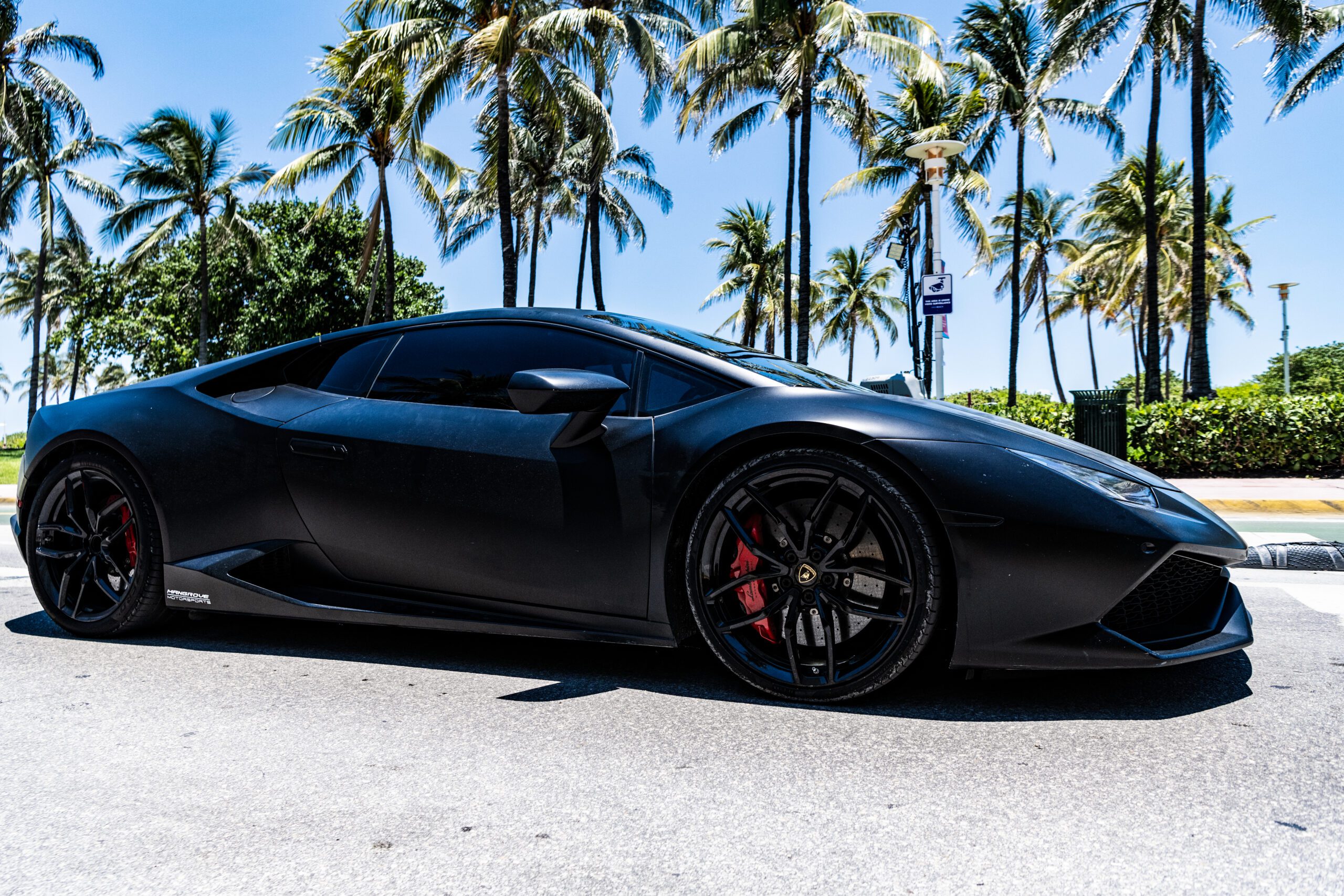 Black Lamborghini sports car by palm trees